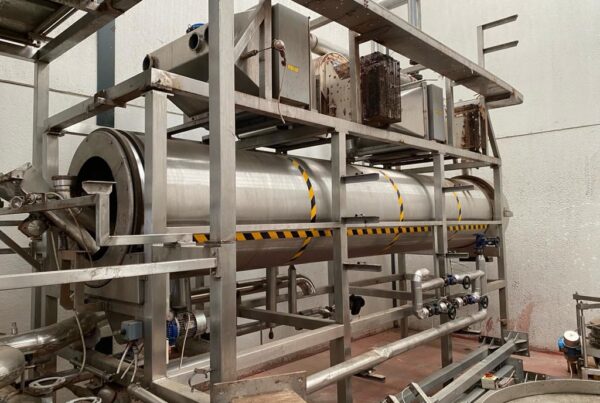 instantaneizador colorantes alimentarios